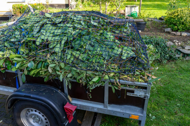 Best Hoarding Cleanup  in Chieand, FL